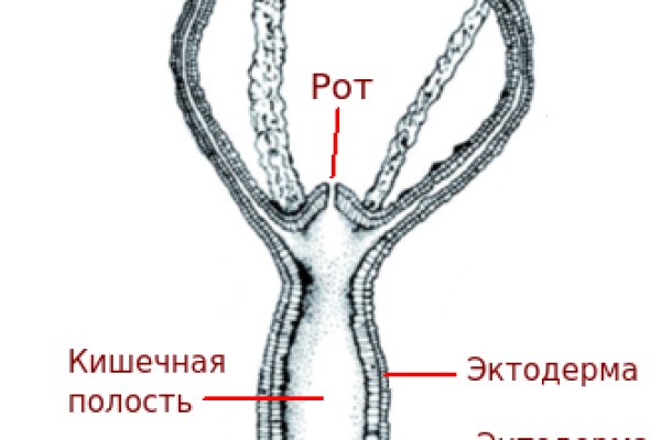 Даркнет мориарти мега сайт