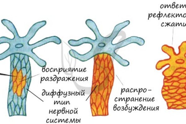 Mega onion сайт официальный